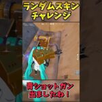 ランダムスキンチャレンジでビクロイせよ！【フォートナイト】 #ゆっくり実況 #最新アプデ情報 #フォートナイト