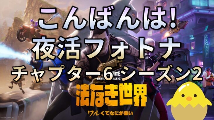 【夜活】フォートナイト