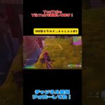 最後？もちろん狙ったヨ？ 『100回ビクロイチャレンジ#2』【Fortnite】