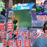 フォートナイトチャプター６シーズ３　８歳毎日ビクロイチャレンジ１３６日目　１８キルビクロイ　７歳アンリアルランク　136日間連続ビクロイ動画