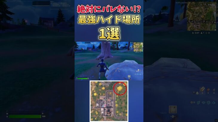 絶対にバレない!!最強のハイドスポット2選!!【フォートナイト】 #shorts  #フォートナイト #fortnite