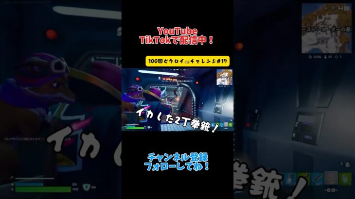 イカした2丁拳銃でキメるぜ『100回ビクロイチャレンジ#17 』【Fortnite】