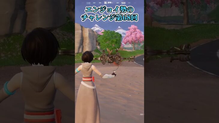 【フォートナイト】エンジョイ勢のチャレンジ第68回 #shorts