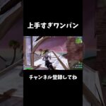 上手すぎワンパン【フォートナイト/FORTNITE】
