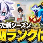 新シーズンのプロの初期ランクはいくつなの!?【フォートナイト/FORTNITE】