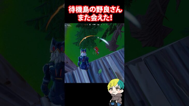 待機島の野良さんにまた会えて嬉しい！　#フォートナイト #FORTNITE  #shorts #フォトナ #vtuber
