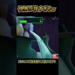 視界が狭すぎるｗｗ【フォートナイト/Fortnite】