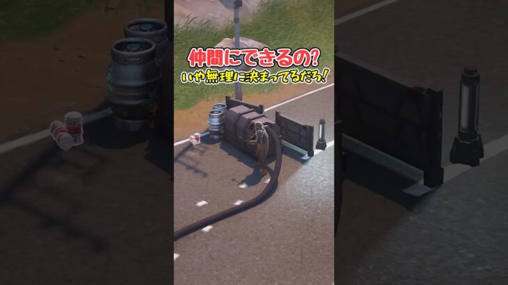 【フォートナイト検証】ソロであってソロではない【フォートナイト/Fortnite】【ゆっくり茶番】#shorts