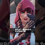 NPCと会話してる人【フォートナイト/Fortnite】