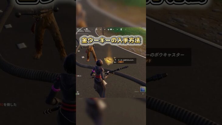 ウーキーのボウキャスターが入手できる降下場所 #epicpartner #フォートナイト #fortnite #フォトナ #フォートナイト初心者