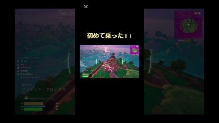 【フォトナ】初めて乗れた!!#フォートナイト #フォトナキル集 #fortnite #フォトナ #ぺん