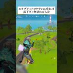エキゾチックロケランに乗れば落ちても落下ダメ無効になる説検証してみた #フォートナイト #fortnite #小技 #小ネタ
