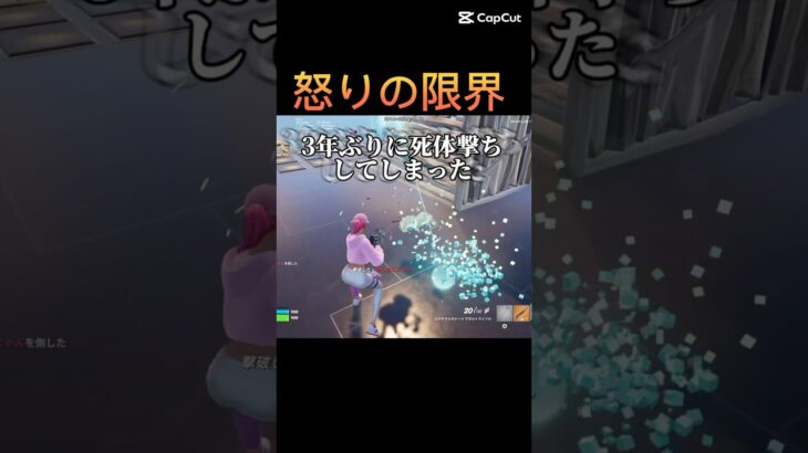 流石に我慢の限界でした…#フォートナイト #fortnite #ごめんなさい