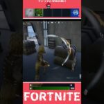 フォトナスキンを撲滅する毛むくじゃら　#フォートナイト #fortnite
