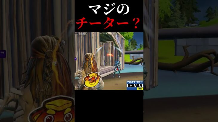 マジのチーター? #フォートナイト #fortnite #チャプター6 #チーター #cheater