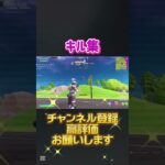 キル集〜#チャンネル登録お願いします #fortnite #フォートナイト #フォトナ #フォトナキル集 #enjoy #エンジョイ #ぴたごらすch #キル集