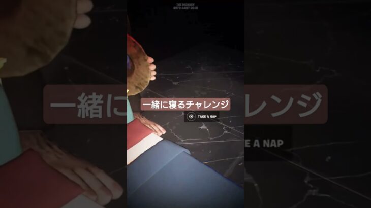 添い寝チャレンジやってみてね！！　#フォートナイト #ホラー#fortnite #horror