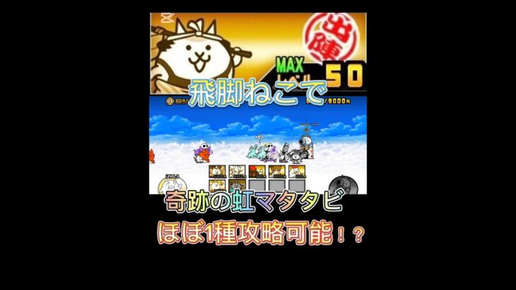 ネコあらしはどうしても必要だったんだっ！#shorts #にゃんこ大戦争＃ヒカマニ#飛脚ねこ #ウルトラマン倶楽部 #memes #特撮 #フォートナイト #ultraman #1種攻略