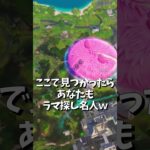 【ちょいムズ！】あなたはこの状況でラマちゃんを見つけられますか？　skybase　＃ラマちゃんを探せ #shorts　＃フォートナイト