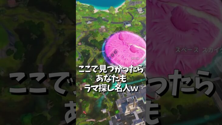 【ちょいムズ！】あなたはこの状況でラマちゃんを見つけられますか？　skybase　＃ラマちゃんを探せ #shorts　＃フォートナイト