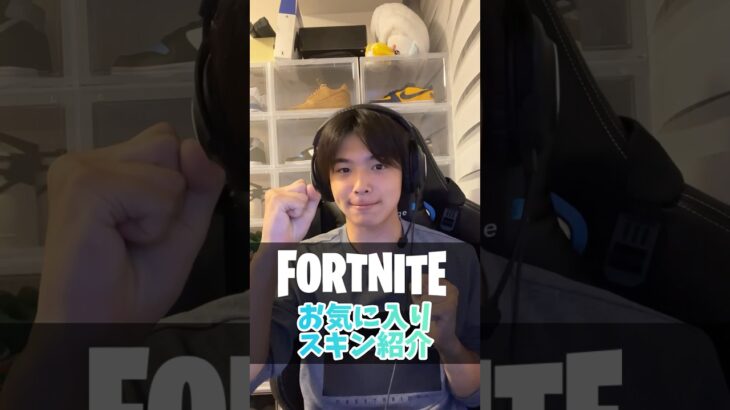 【フォートナイト】お気に入りのスキンランキング紹介します！みんなのお気に入りは？