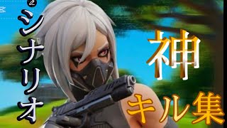【シナリオ】フォトナキル集
