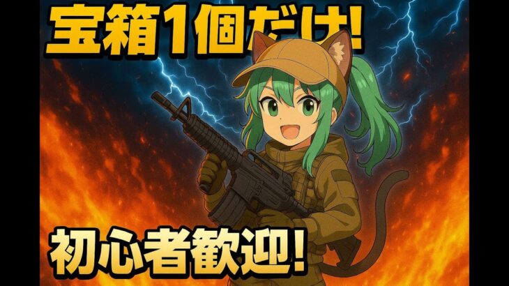 【フォートナイト】宝箱1個だけ縛りでソロビクロイに挑戦！初心者でも勝てる？