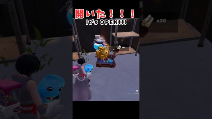 【フォートナイト】開けるのに10分？忍耐のスーツケースに挑戦してみた！/The Patience Suitcase Challenge💼【C6S3】#shorts #fortnite #フォートナイト