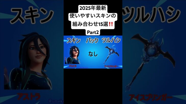 【プロ愛用】 2025年最新 使いやすいスキンの組み合わせ15選 Part2  【フォートナイト】