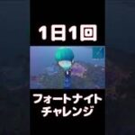 【FORTNITE】1日1回フォートナイトチャレンジ10日目【実況】【#shorts】