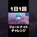 【FORTNITE】1日1回フォートナイトチャレンジ11日目【実況】【#shorts】