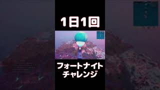 【FORTNITE】1日1回フォートナイトチャレンジ11日目【実況】【#shorts】