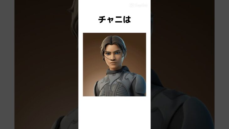【雑学】スキンに関する雑学【フォートナイト/Fortnite】