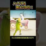 「だるまさんが転んだ」ミニゲームの裏に隠れる敵との攻防！！【フォートナイト/Fortnite】#shorts