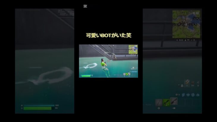 【フォトナ】可愛いbotがいた笑笑#フォトナキル集 #キルショット #fortnite #フォートナイト #fortnite #フォートナイト