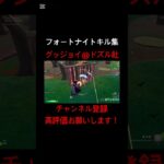 [フォートナイト:キル集]グッジョイ@dozle #フォートナイト#フォートナイトキル集#フォートナイトリロード#フォトナ#フォトナキル集#フォトナリロード#キル集#リロードキル集#ドズル社