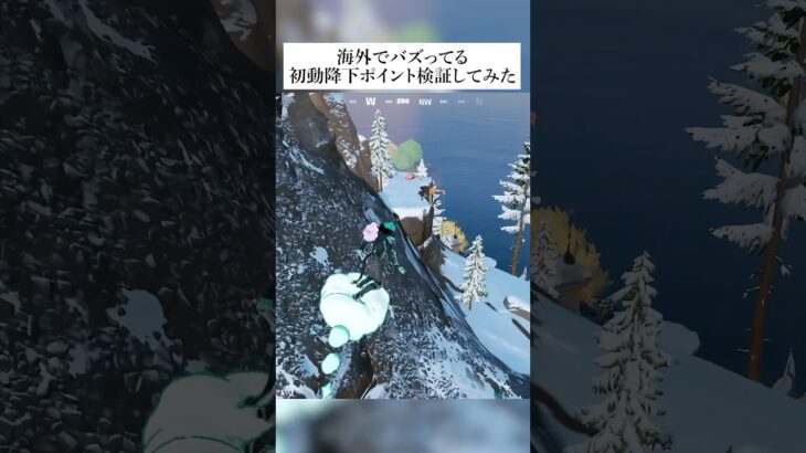海外でバズってる最強降下ポイント本当に強いのか検証してみた#フォートナイト #fortnite #小ネタ #小技