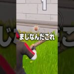やすずはいぱぁにランダム武器チャレンジやらせてみたｗ #フォートナイト #fortnite #わんぱれ