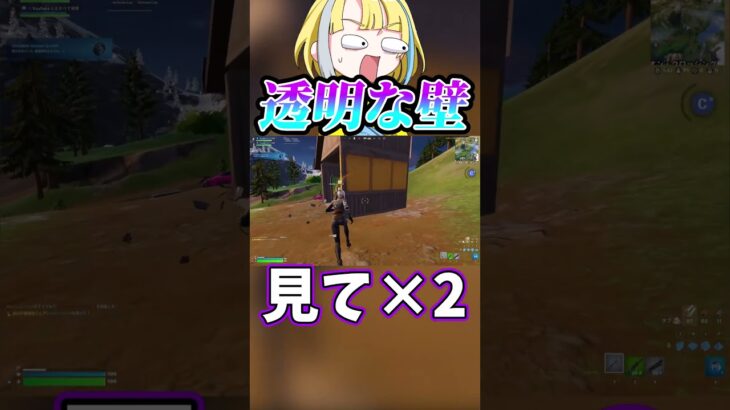 ここには無限がありました【フォートナイト/fortnite】#shorts #fortnite #フォートナイト #ランク #ゲーム実況 #透明 #バグ #bug #shortsfeed