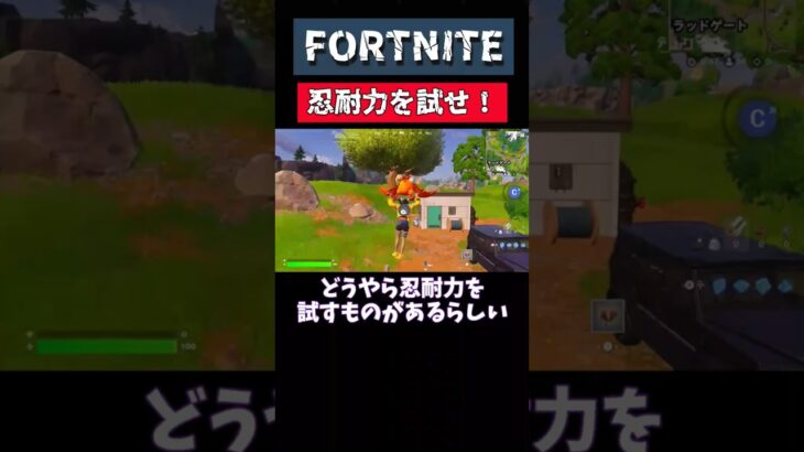 #フォートナイト  忍耐力を試せ！ スーツケース開封チャレンジ🔥