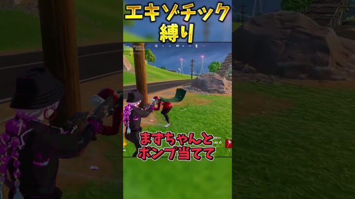最強のエキゾチック縛りでビクロイせよ！！【フォートナイト】