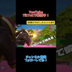 リロードで特訓！マンモスピストルが強い！『100回ビクロイチャレンジ#31 』【Fortnite】