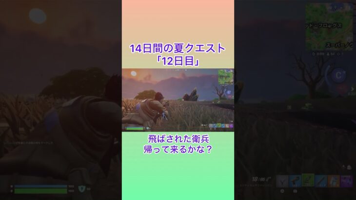 14日間の夏クエスト 12日目 #フォートナイト #fortnite #攻略 #タクティカルサブマシンガン