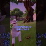 【知ってる人30%】意外と知られていない『土の技』の秘密【フォートナイト】