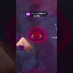 フォートナイト〜ポンポン最強説〜小5のビクロイチャレンジ