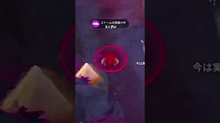 フォートナイト〜ポンポン最強説〜小5のビクロイチャレンジ