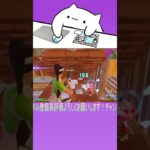 【配信切り抜き】60キルチャレンジで61キルビクロイ達成【fortnite/フォートナイト】#shorts #fortnite #フォートナイト
