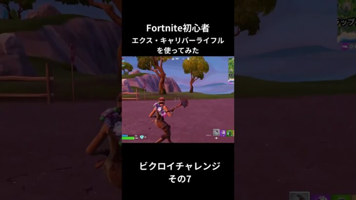 ビクロイチャレンジその7 #shorts #fortnite #フォートナイト