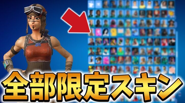 EPIC運営から毎日スキンが送られてくる人のロッカーの内容がヤバい…【Fortnite/フォートナイト】