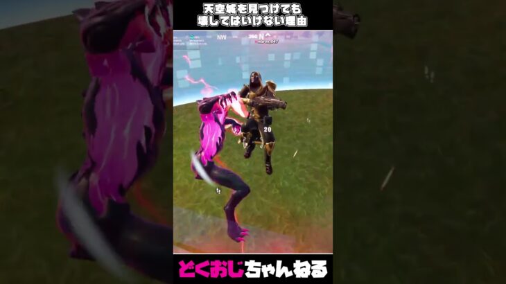 天空城を見つけても壊してはいけない理由 #フォートナイト #FORTNITE  #天空城 #ゆっくり実況
